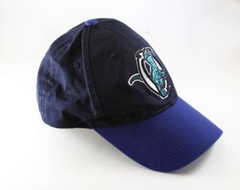 ogden raptors hat