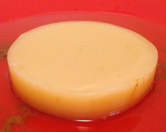 Kombucha scoby