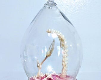 Hamster Skeleton - Xmas Ornament - Disarticulated Skeleton - Real Animal Bones - Rodent Taxidermy