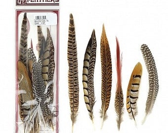 Assortment of Natural Feathers - 12 Piece Festival Mix