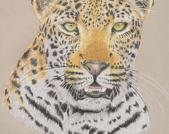 Leopard Fine Art Giclee Print