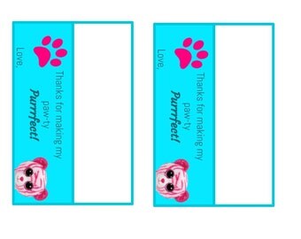 Beanie Boo Party Favors
