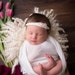 Laura Fischer Photography