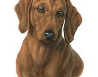 DACHSHUND Red Smooth Dog Head by Gibson on ONE 16 inch square Fabric Panel to Sew. Actual Picture is approx 8" x 11".