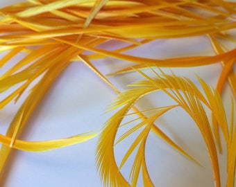 20 Pieces Premium golden yellow Biot Goose Feathers Great for Crafts