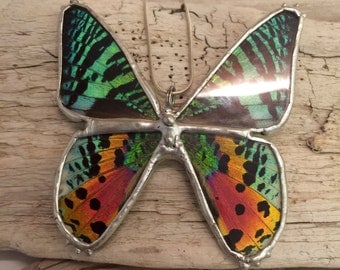 butterfly jewelry, handmade real butterfly pendant, real butterfly jewelry, butterfly necklace, real moth pendant, sunset moth Pendant