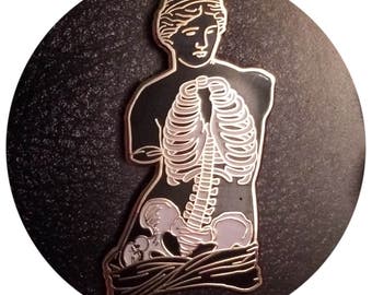 Anatomy of Venus (Glow in the Dark)