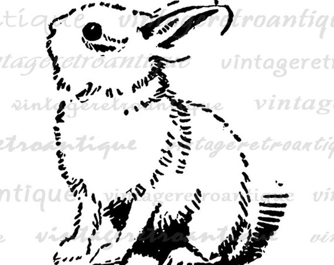 Cute Bunny Rabbit Digital Image Printable Bunny Digital Easter Nursery Download Spring Graphic Antique Clip Art Jpg Png Eps HQ 300dpi No.061
