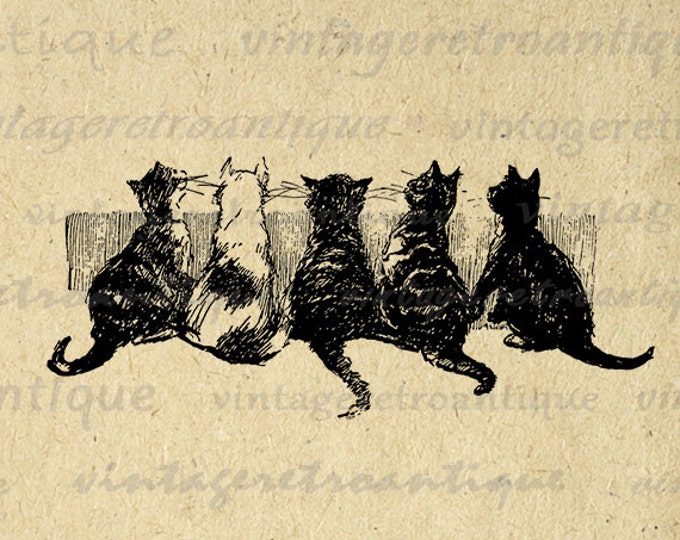 Kittens in Row Cat Digital Graphic Printable Cat Illustration Download Image Vintage Clip Art Jpg Png Eps HQ 300dpi No.1787