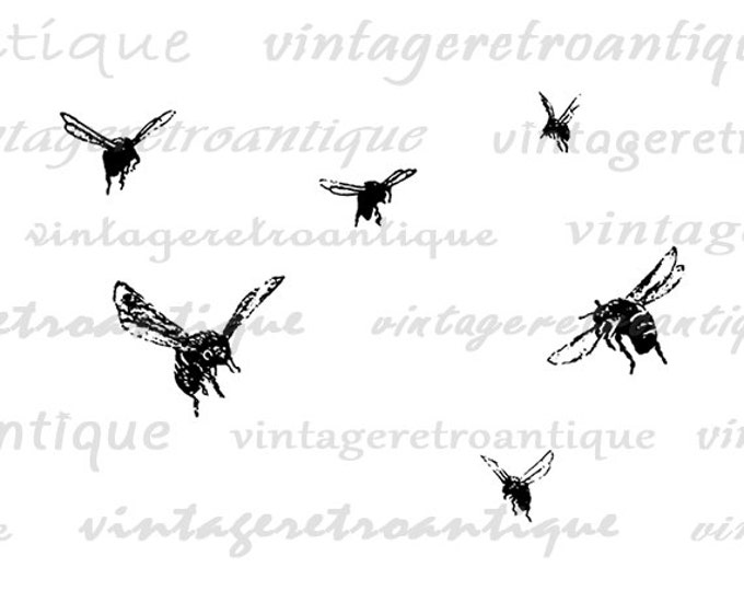 Digital Graphic Flying Bees Printable Bee Collage Sheet Image Download Vintage Clip Art Jpg Png Eps HQ 300dpi No.3506