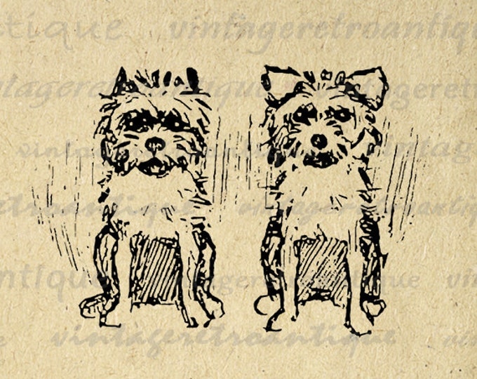 Little Yorkie Dogs Digital Image Graphic Cute Download Illustration Printable Vintage Clip Art Jpg Png Eps HQ 300dpi No.3092