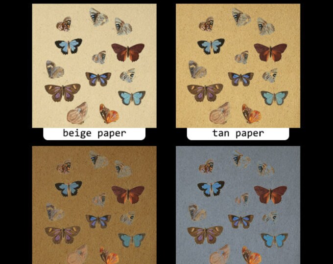 Printable Images Butterflies Color Collage Sheets Digital Graphic Download Antique Clip Art HQ 300dpi No.814