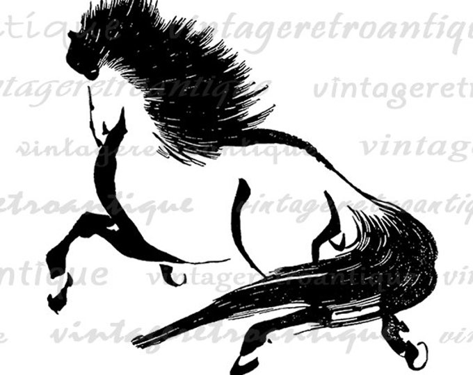 Antique Horse Graphic Digital Download Illustrated Image Printable Vintage Clip Art Jpg Png Eps HQ 300dpi No.1637