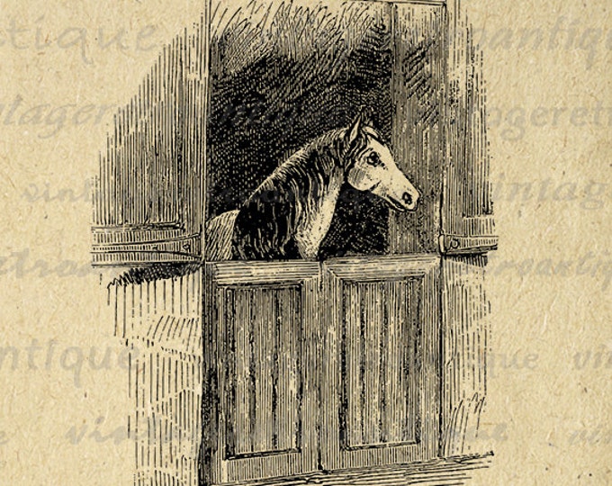 Printable Horse in Stable Graphic Digital Download Image Illustration Vintage Clip Art Jpg Png Eps HQ 300dpi No.2356