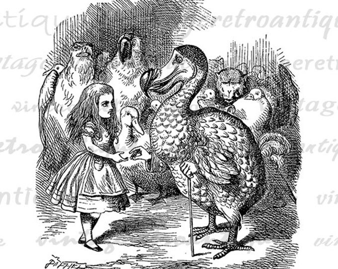 Alice with Dodo Bird Graphic Printable Download Alice in Wonderland Image Digital Vintage Clip Art Jpg Png Eps HQ 300dpi No.020