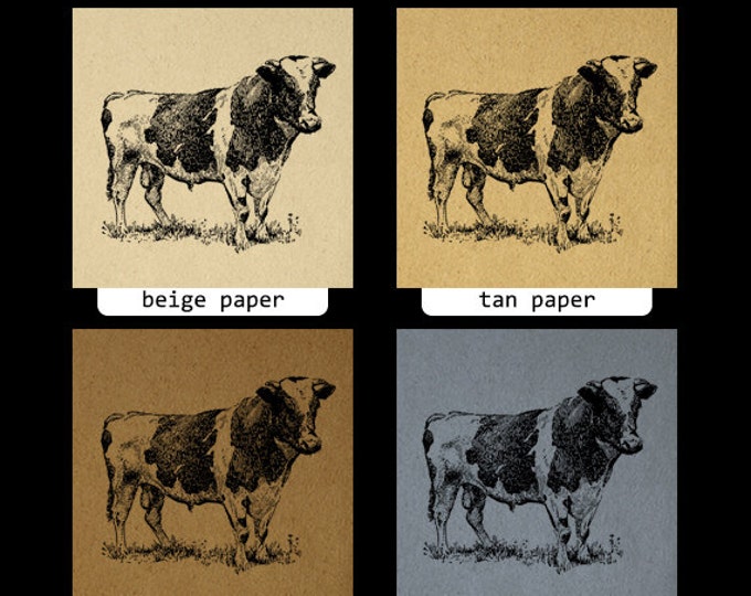 Holstein Cow Printable Digital Graphic Farm Animal Download Image Antique Clip Art Jpg Png Eps HQ 300dpi No.3510