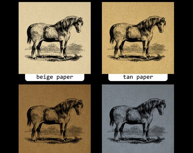 Digital Graphic Antique Horse Download Printable Image Artwork Vintage Clip Art Jpg Png Eps 18x18 HQ 300dpi No.2358