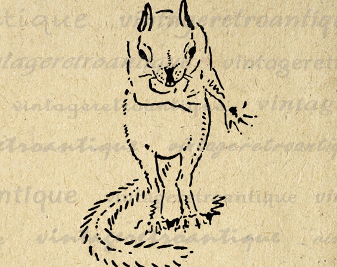 Printable Image Squirrel Takes a Bow Download Cute Graphic Digital Antique Clip Art Jpg Png Eps HQ 300dpi No.825