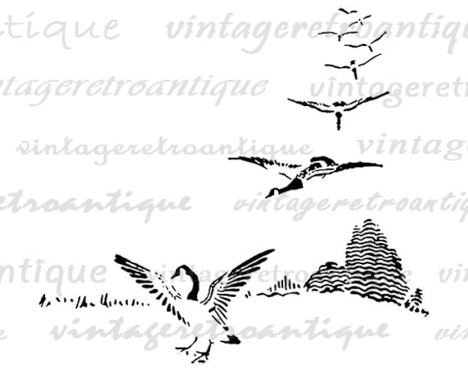 Printable Image Flying Geese Graphic Bird Digital Illustration Download Jpg Png Eps HQ 300dpi No.951