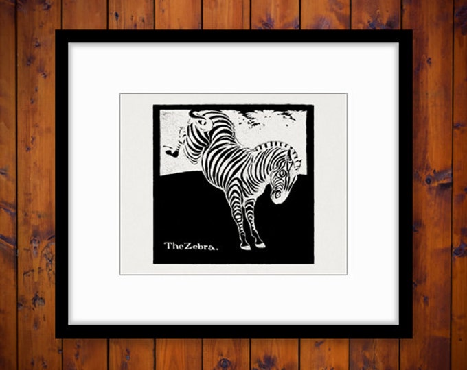 Printable Image Zebra Illustration Graphic Digital Download Antique Clip Art Jpg Png Eps HQ 300dpi No.3368