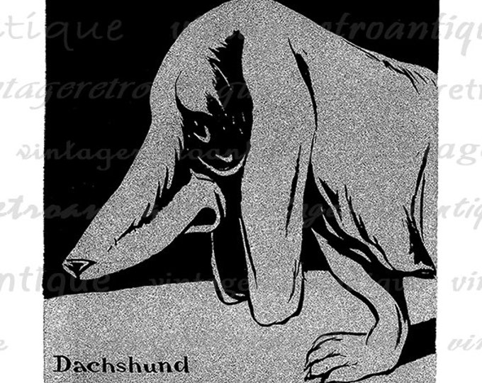 Digital Dachshund Wiener Dog Graphic Printable Image Download Artwork Antique Clip Art Jpg Png Eps HQ 300dpi No.1993