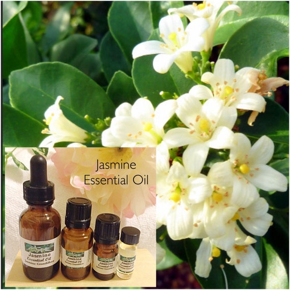 Jasmine Essential Oil 1 Dram 5 ml 1/2 oz 15 ml 1 oz30
