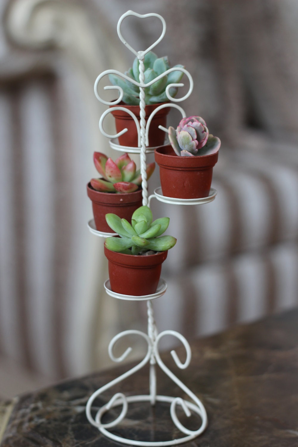 Mini Succulent Tier Plant Stand