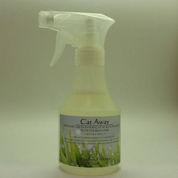  Cat repellent natural cat repellent cat repellent spray cat 