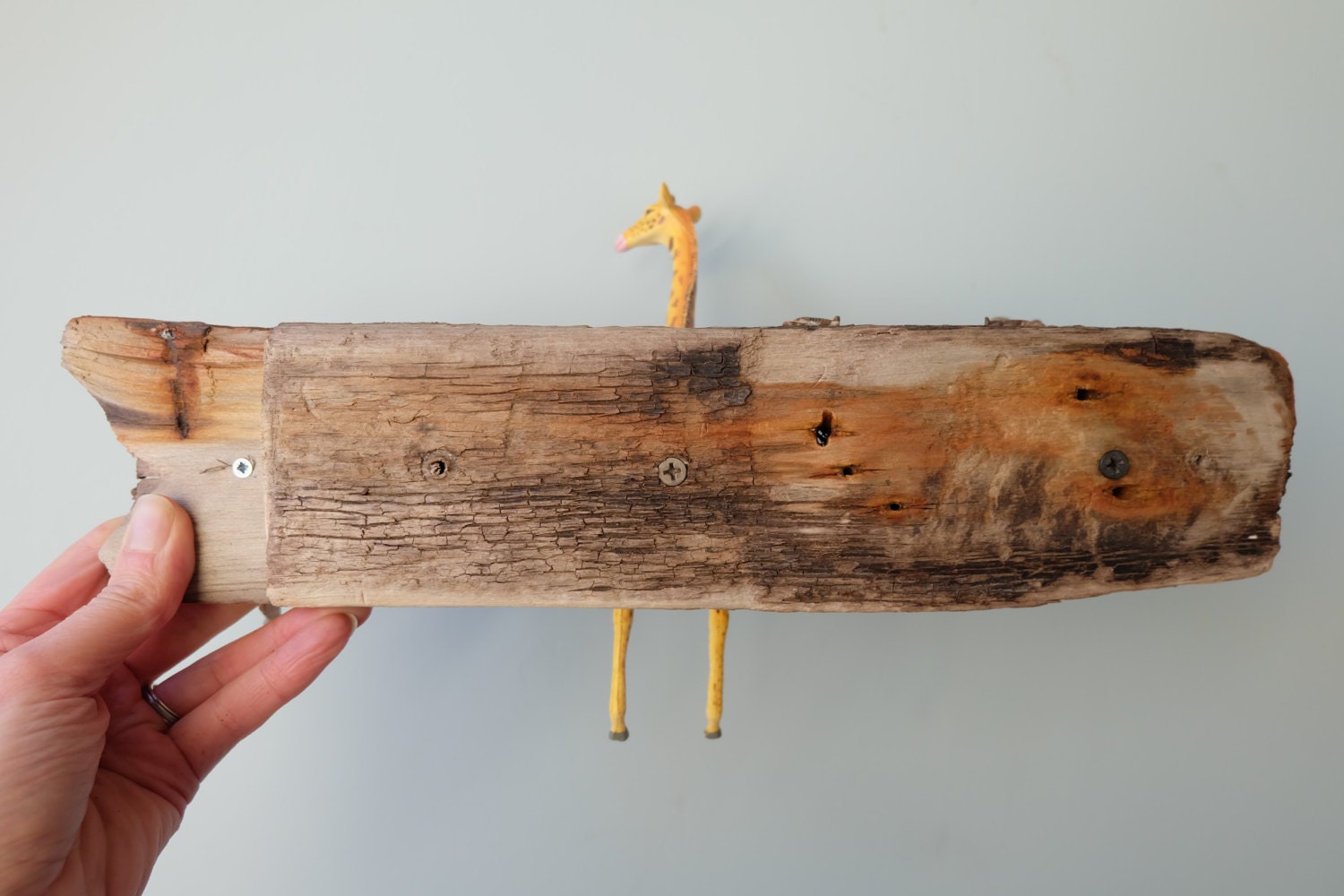 Driftwood coat hooks modern wall hooks jungle animals