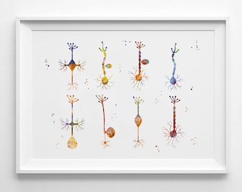 Neuron Cells Art Print Watercolor Neurons Synapses Print Brain Cells Watercolor Biology Art Science Poster Nerve Cells Medicine Art (Nº10)