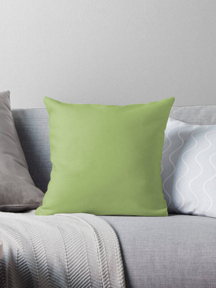 Sage Green Pillow Green Pillow Green Bedding Green