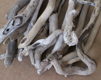 Curved Driftwood, 4''-17'' Driftwood, Thick and Thin Erie Lake Driftwood, 15 pc Curly Sculptured Driftwood ~ df92