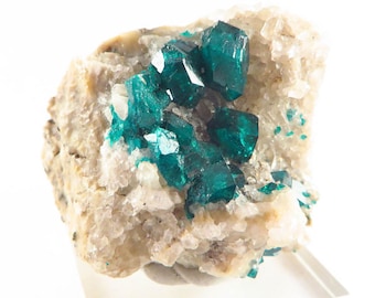 SALE Dioptase Mineral Specimen on White Matrix Kazakhstan Type Locality