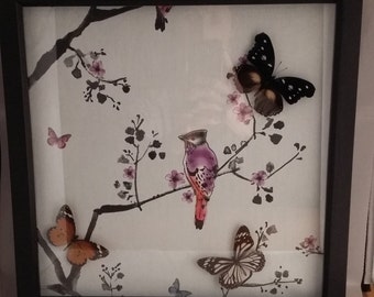 Shadowbox, Butterfly Art, Insect Art, Handmade, Butterflies, Insect, Curiosity, Entomology, Butterfly Shaddowbox, Real Butterfly.