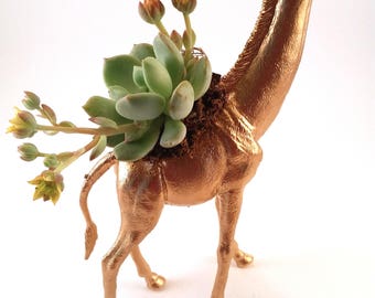 Giraffe Animal Planter + Succulent \\ Animal Planter \\ Desk Accessory \\ Dorm \\ Home Decor \\ Gift \\ Office Decor \\ Desk Plant
