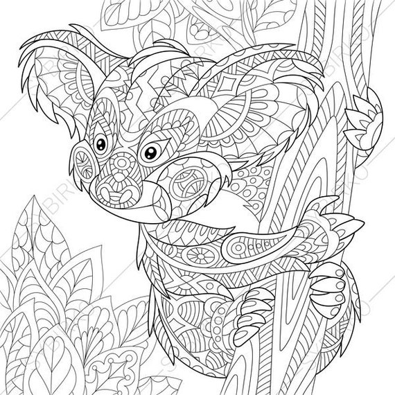 Adult Coloring Pages Koala Bear Zentangle Doodle Book Page Adults
