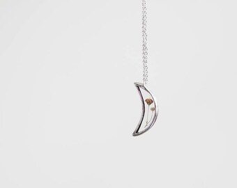 Terrarium crescent . Terrarium necklace. Pressed flowers necklace. Baby's breath terrarium. Hanging terrarium. Botanical jewelry. Boho