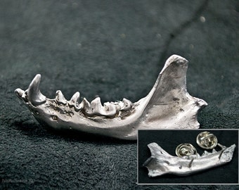 Jawbone Pin- bone pin, bone jewelry, strega jewelry, goth jewelry, vulture culture, taxidermy, paleo jewelry, primitive jewelry, bone brooch
