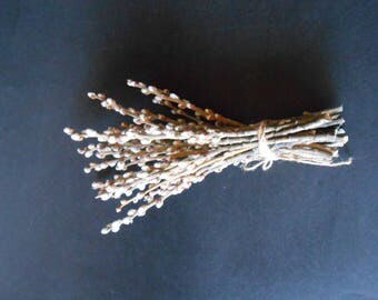 Bunch of Dried Pussy Willow Branches ,Twigs Spring Decor, Home Decor Natural, Mini Bouquet Dried flowers