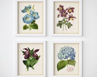 Hydrangea Wall Art hydrangea print | etsy Hydrangea Wall Art hydrangea print | etsy