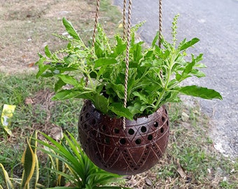 Medium Size Coconut Shell Hanging Planter Pot lacquer Color Flower Orchids