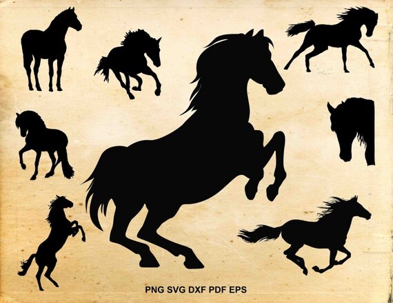 Download Horse svg files Horse clipart Equestrian svg Cut files for