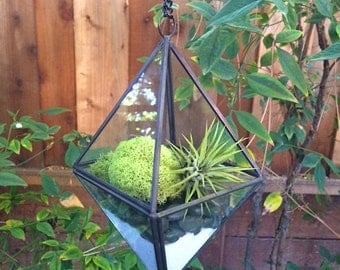 Hanging Glass Geometric Air Plant Terrarium Planter with Green Moss, Black Stones & White Sand Kit