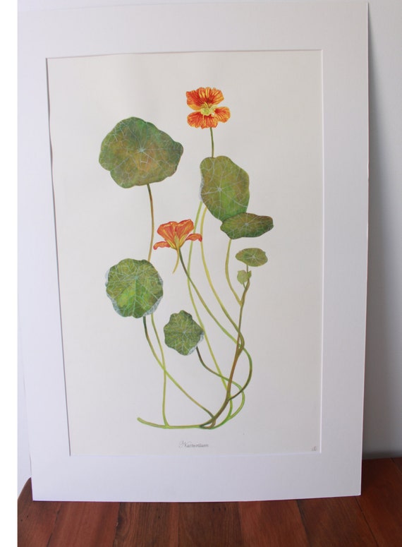 Original Botanical Watercolour painting