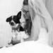 Zelie Collison