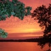 lynn Houser