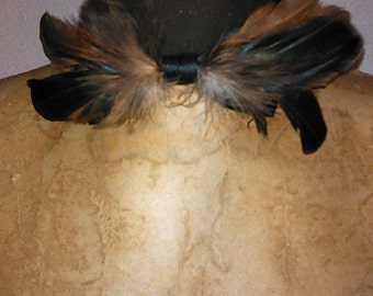 Holiday Father's Day Prom Multi-brown feather bow tie