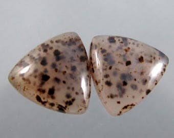 Elegant Montana Agate Designer Cabochon Matched Pair