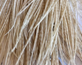 1 Dozen 9 inch Barred White Cream Tan LONG Grizzly Rooster Feathers