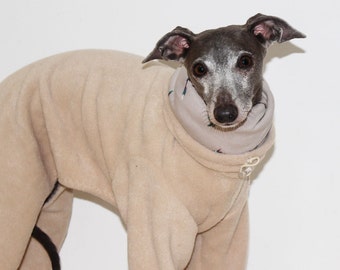 italian greyhound teddy